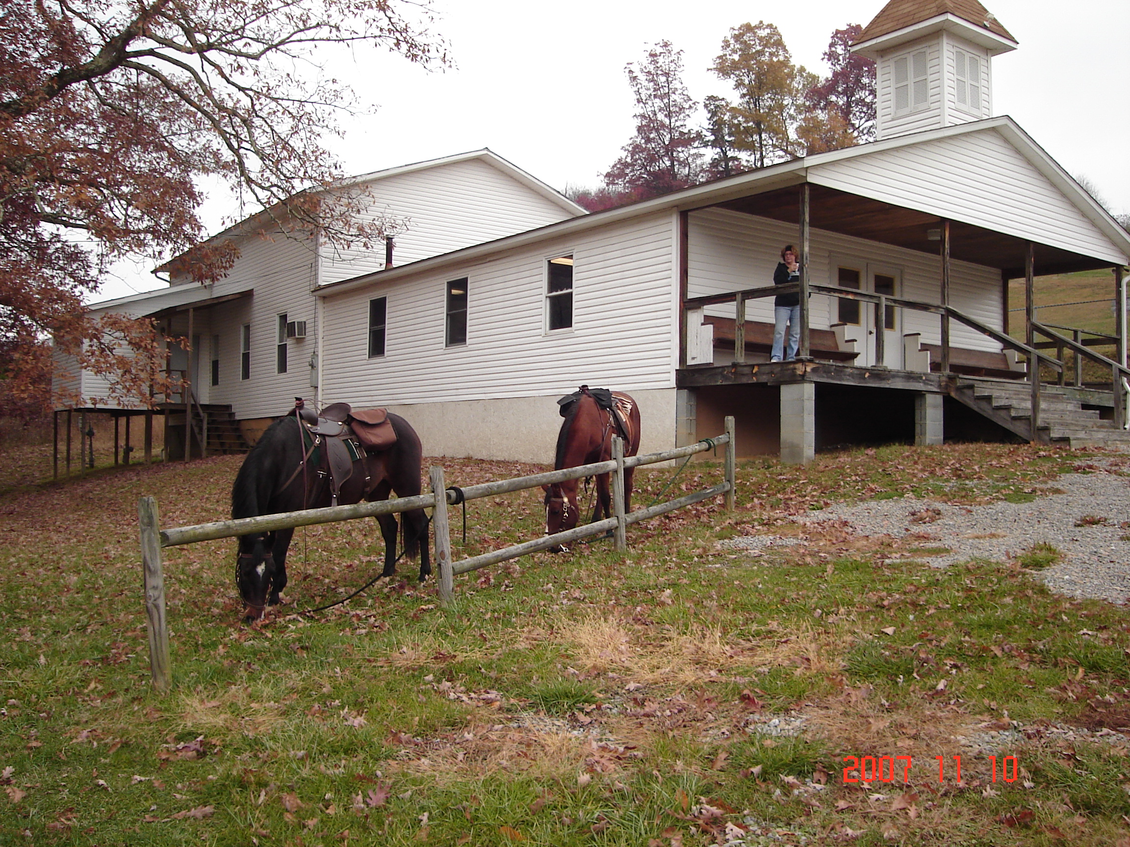 Church Horses