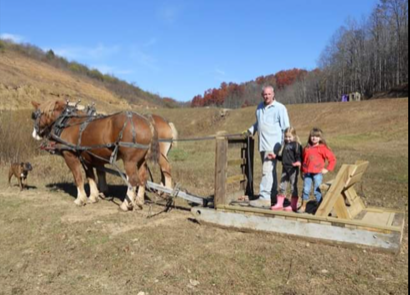 Horse and Sled